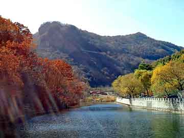 新澳天天开奖资料大全旅游团，鸭毛脱水机